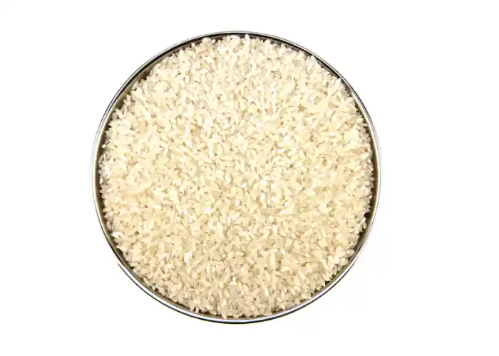  Rice